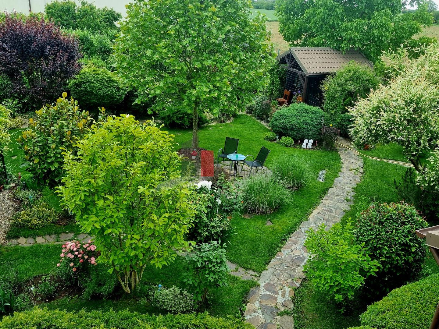 Vila cu gradina impresionanta | Prosumator | Tancabesti - Poză 9