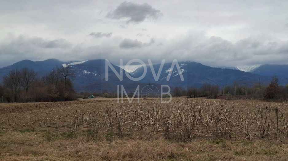 Teren extravilan de vanzare - Arpasul de Sus - Poză 2