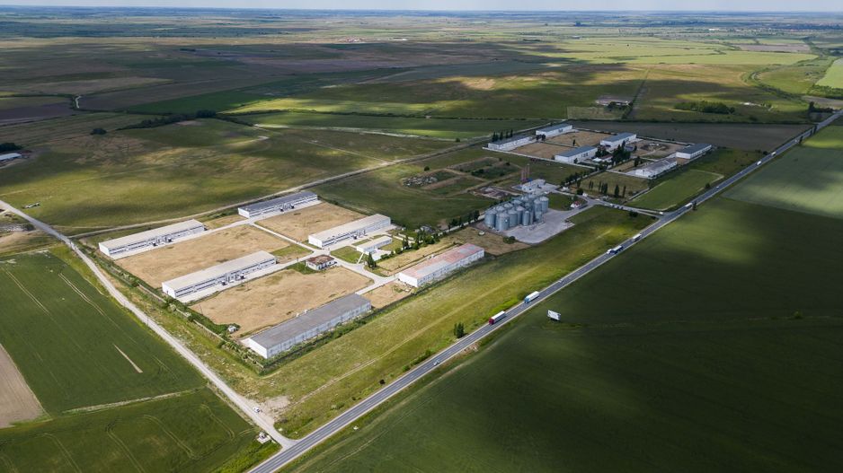 Teren Intravilan Investiții 11.600 mp Salonta - Poză 6