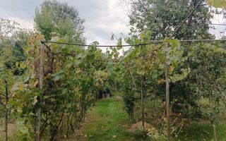 Casă cu etaj și teren de 1450 mp în Lunca, Pașcani - Poză 2