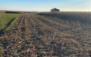 Teren Frătăuții Vechi | 14 Ari | 25.000 EUR - Poză 3