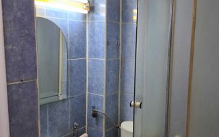 Garsoniera Crinul de Padure Parc Drumul Taberei - Poză 7