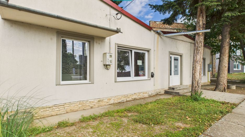 Spațiu stradal pentru investiții în Periam - Poză 2