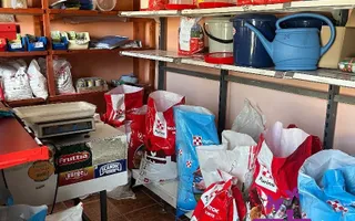 Casa in localitatea Nojorid - Poză 19