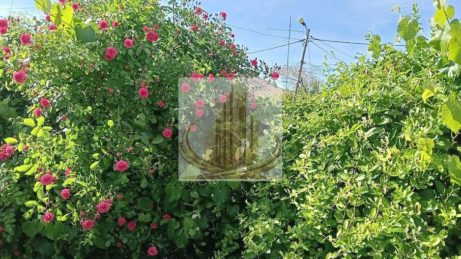 Teren 664 mp | Front 22 ml | Mehala | Ideal Casă sau Duplex - Poză 8