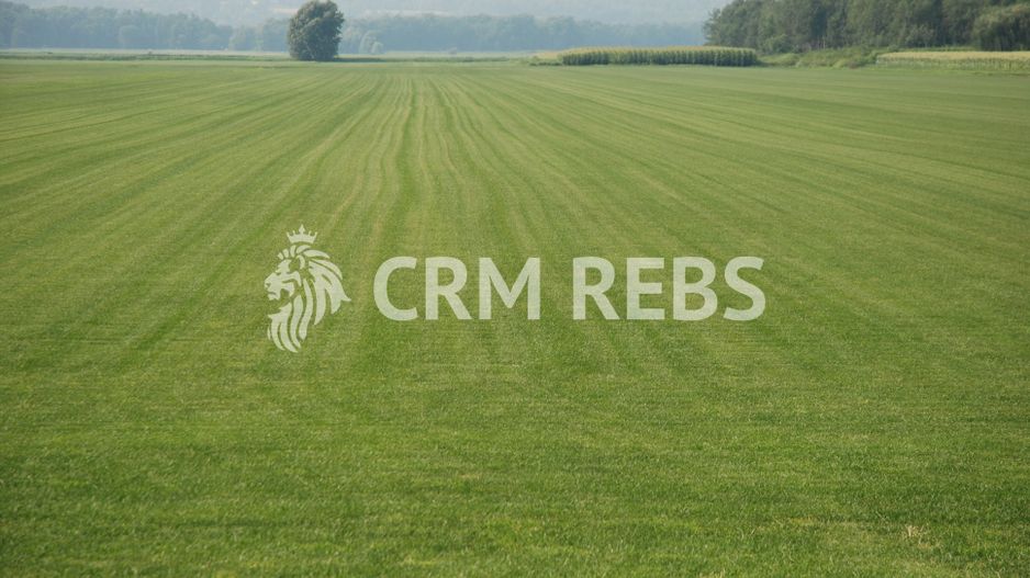 Teren cu PUZ de vanzare in Faget! - Poză 1