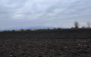 Teren 50000mp Extravilan-Intrare Halchiu-Cod 5235 - Poză 7