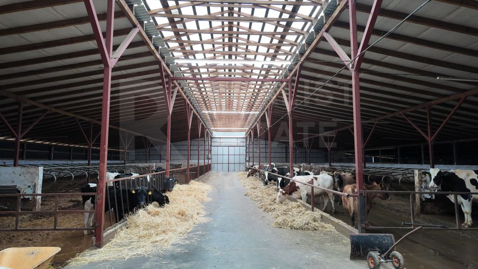 Vânzare, spațiu industrial, Raionul Glodeni, Satul Hîjdieni - Poză 1