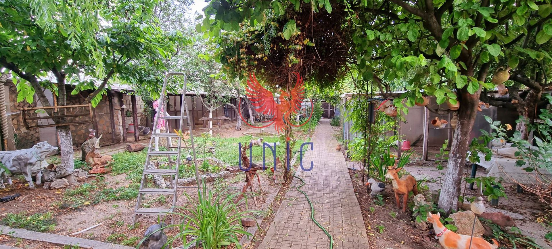 Casa cu mansarda +Teren Bariera Valcii - Poză 5