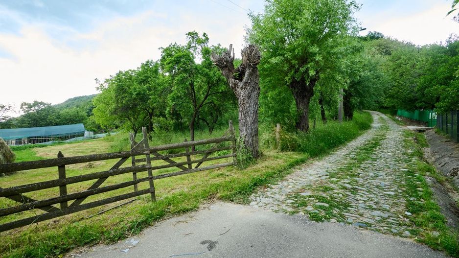 Casa cu teren generos - 4696 mp Apa Sarata - Campulung !! - Poză 15