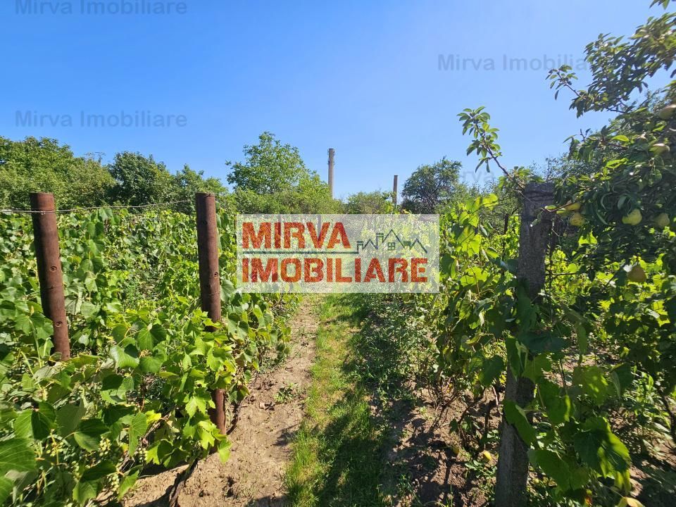 Vanzare vila 6 camere + spatiu comercial, mobilata si utilata, in Blejoi - Poză 73