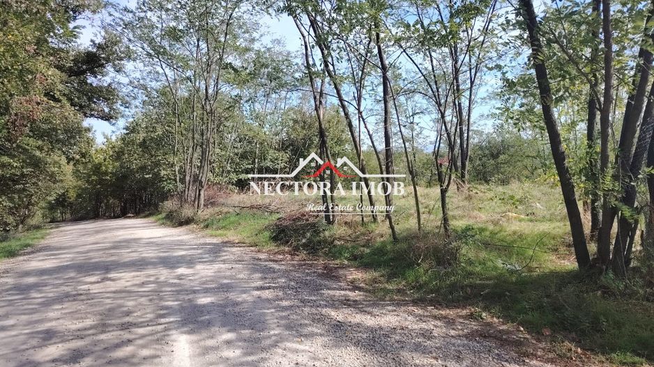 NECTORA IMOB-Teren Saldabagiu de Munte, 2350 mp, 21 ml front stradal - Poză 2