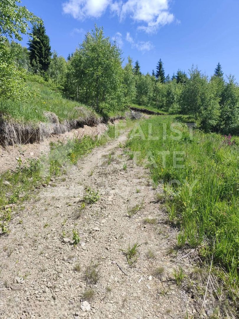 Vânzare, teren, extravilan, Suceava - Poză 3