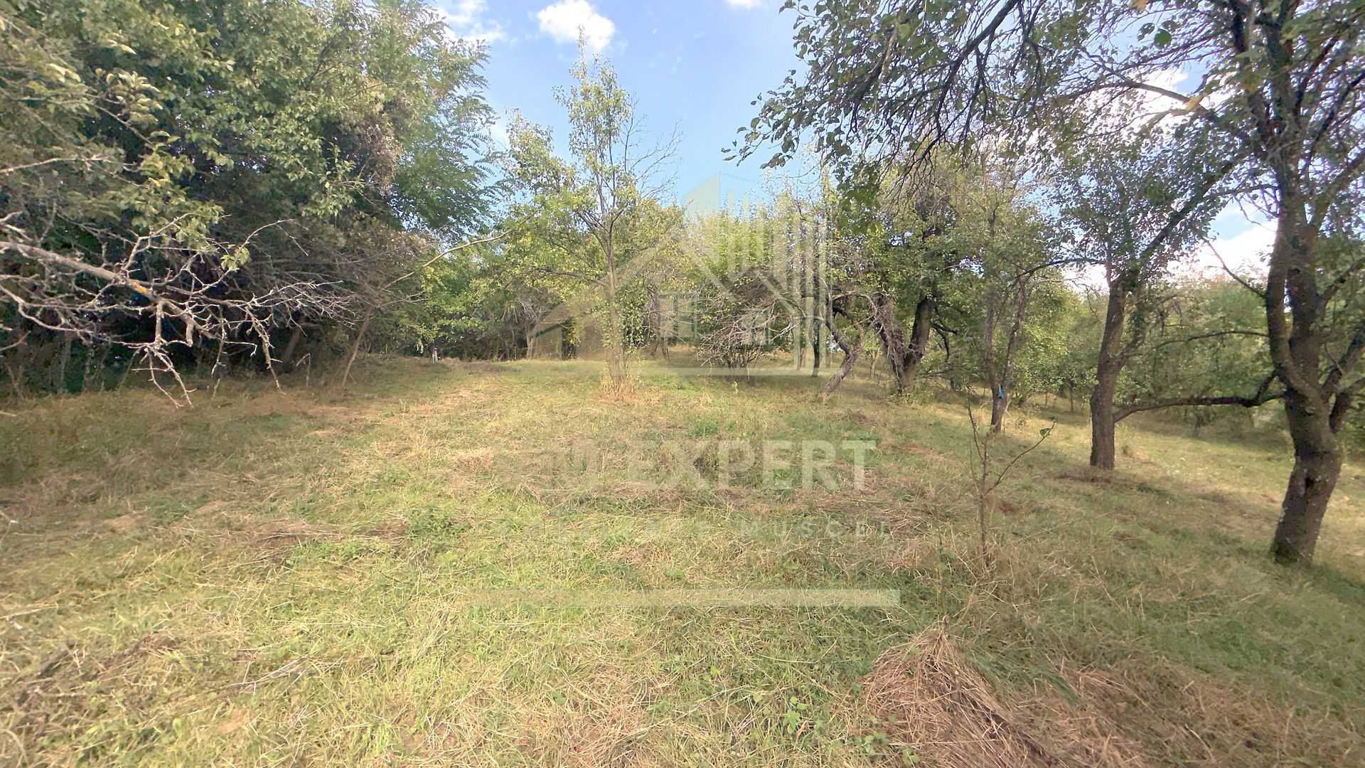 CASA 3 CAMERE TEREN 7770 MP BOTENI ARGEȘ - Poză 24