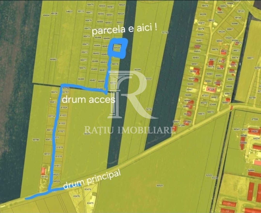 Teren intravilan 500 MP | Livada de Bihor | Bihor - Poză 4