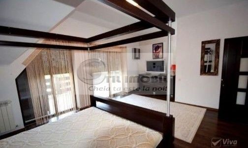 Închiriere casa Valea Lupului - Poză 4