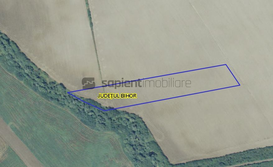 Sapient | Teren intravilan  la E60 - Poză 1