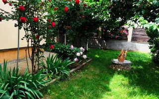 Oaza de liniste - Poză 31