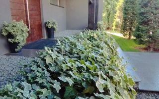 Casă de vânzare Exclusivista - Poză 10