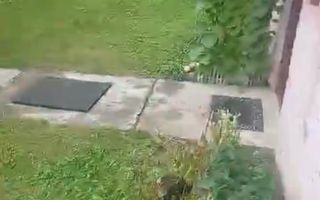 Casa de închiriat I 2 camere I piața cluj - Poză 6