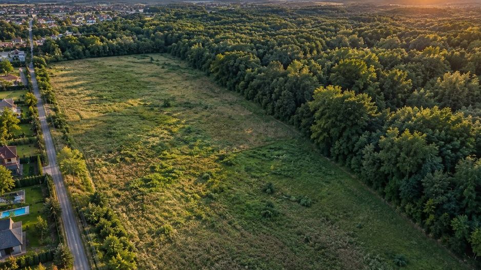 TEREN PREMIUM DE VÂNZARE | TUNARI – PRIMA LINIE LA PĂDURE - Poză 3