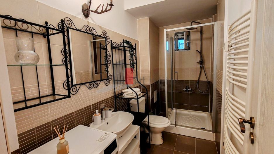 Gara de Nord - Ghe.Duca - Grivitei - Victoriei - Poză 11