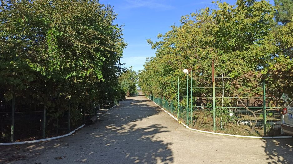 vila triplex,deosebita,mob-util partial/complet/Frumusani-Calarasi - Poză 20