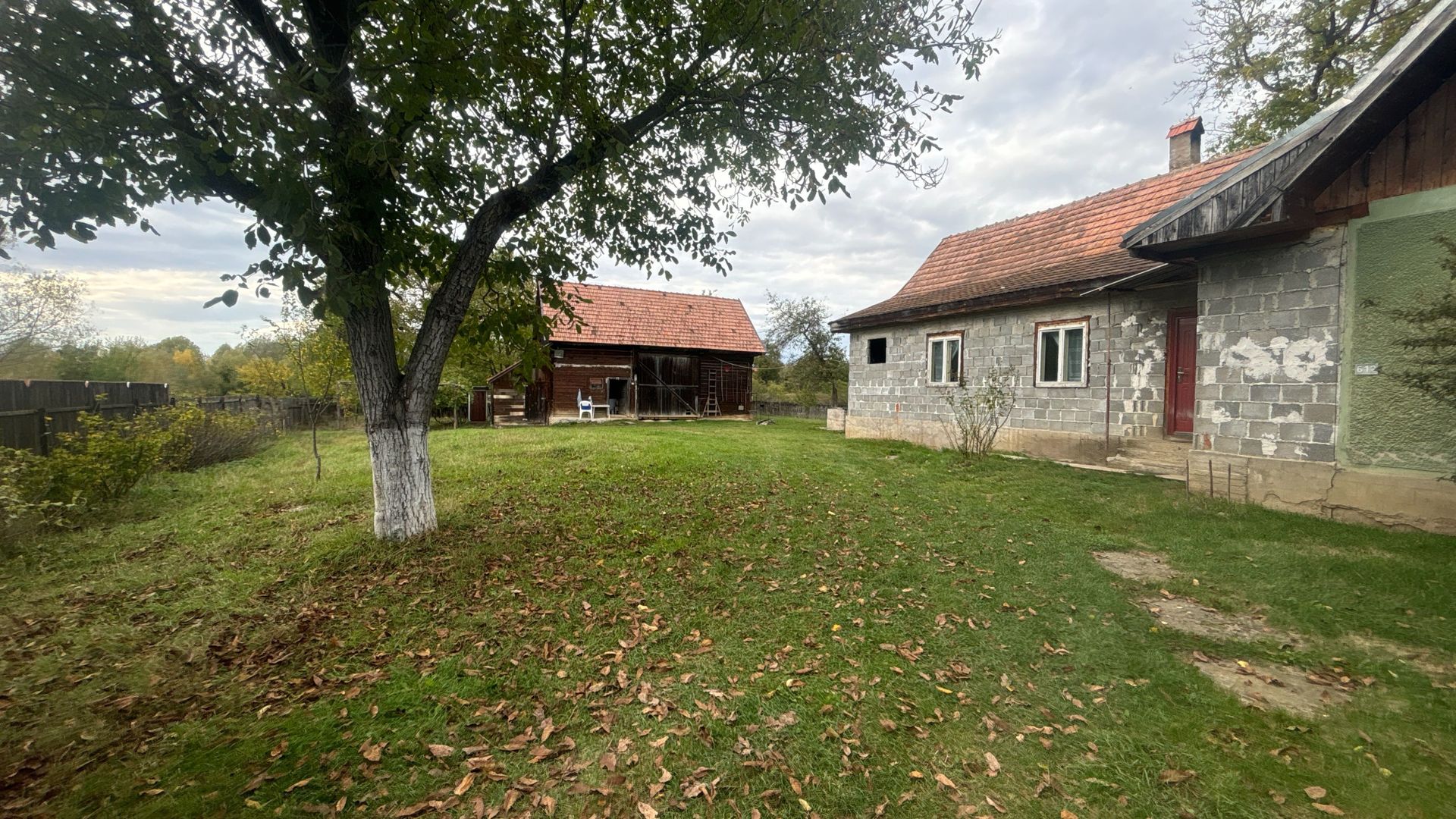 Casă 3 camere 100 M² cu 2360 M² teren - Poză 3