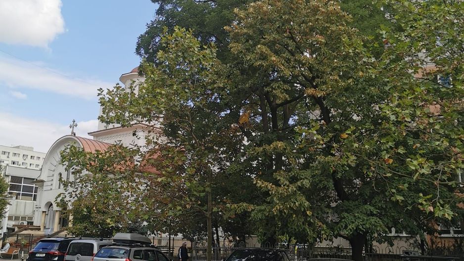 3 camere decomandat la 2 minute de metrou 1 Decembrie 1918 - Poză 2