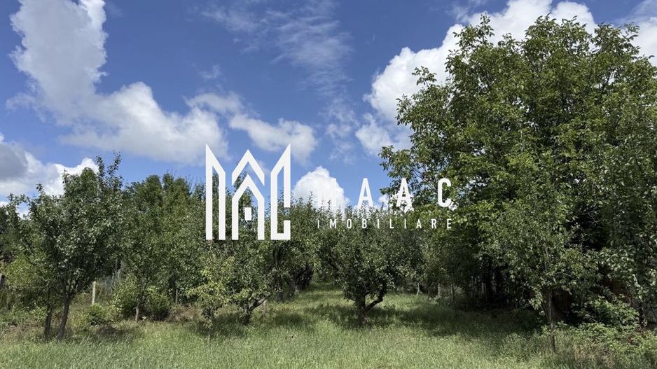 Casă de renovat I teren 1400 mp I Livadă I Central Săcel - Poză 5