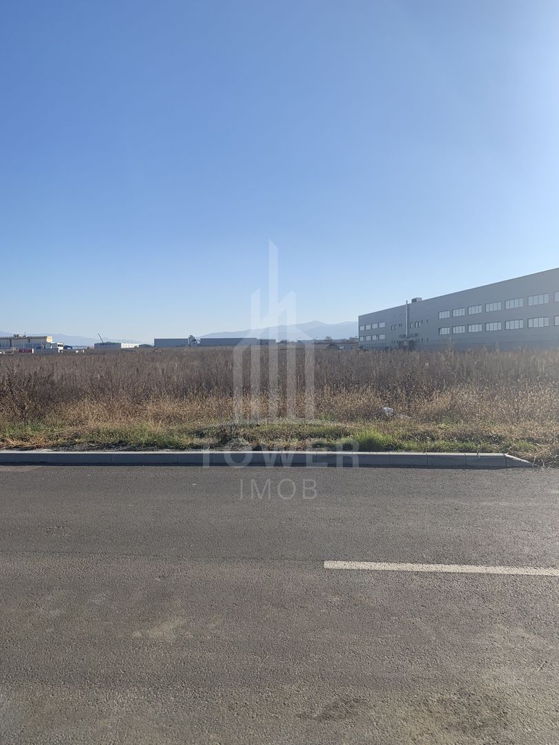 TEREN INTRAVILAN - ZONA INDUSTRIALA VEST-9000 mp, sau 18000 mp - Poză 5