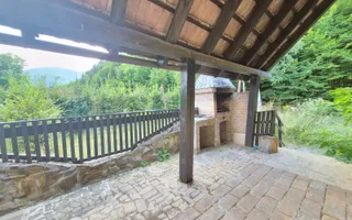 Casa de vacanta - Cartisoara, Sibiu - Poză 25