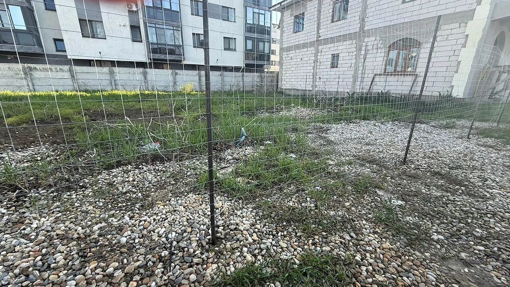 Teren 718 MP Intravilan Chiajna - Poză 2