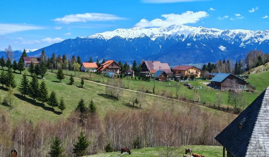 Casa / pensiune investitie sat Pestera, Moieciu, Bran - Poză 31