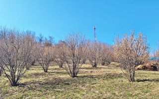 Comision 0%! Teren superb de 17000mp la 5 min de Castelul Bran, 13 euro/mp - Poză 12