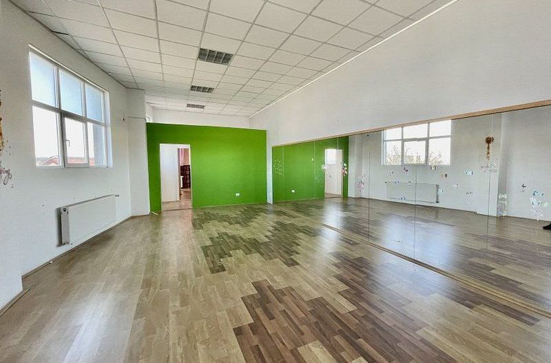 Spatiu pentru birou - Dumbrăvița - Poză 1