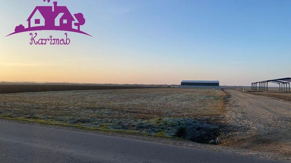 Parcele de teren industrial pentru diferite activitati economice - Poză 4