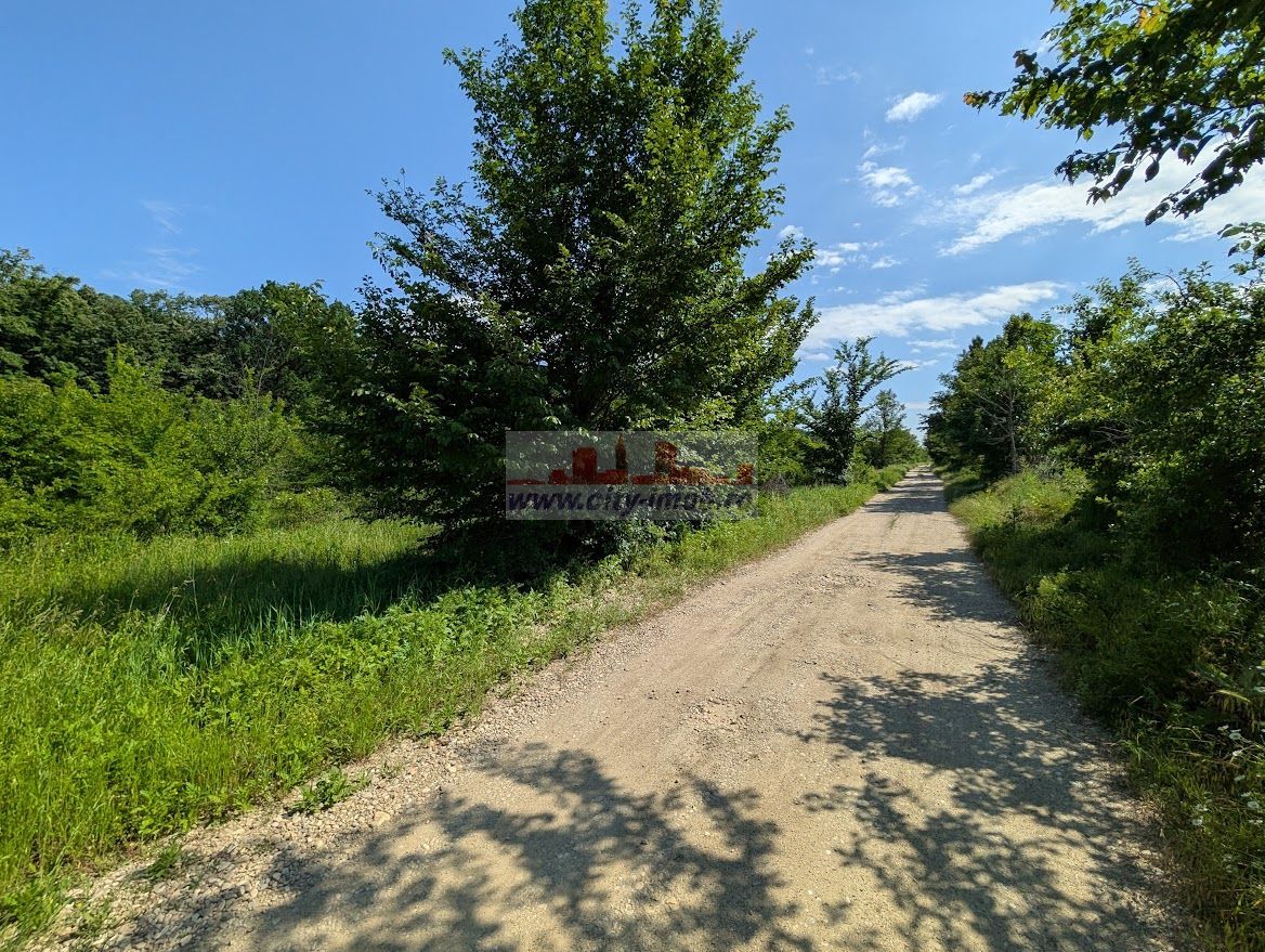 VANZARE TEREN, Sat.Balteni, com. Peris, Padurea Scrovistea, jud IIlfov - Poză 4