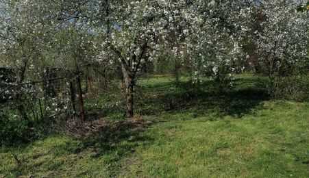 Teren intravilan.Suprafata 1200 mp.Localitatea Moreni.Str. Eroilor  16
