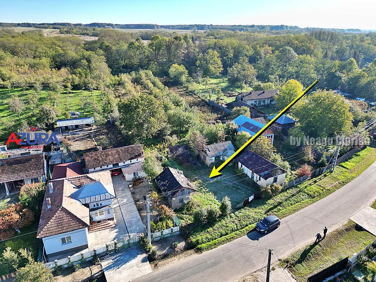 Vanzare teren 3300 mp, intravilan, Albota - Mares - Poză 1