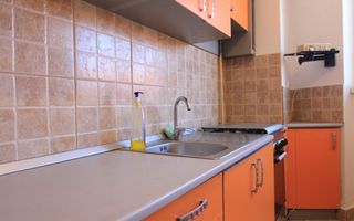 Piata Victoriei, 3 camere, pet-friendly - Poză 11