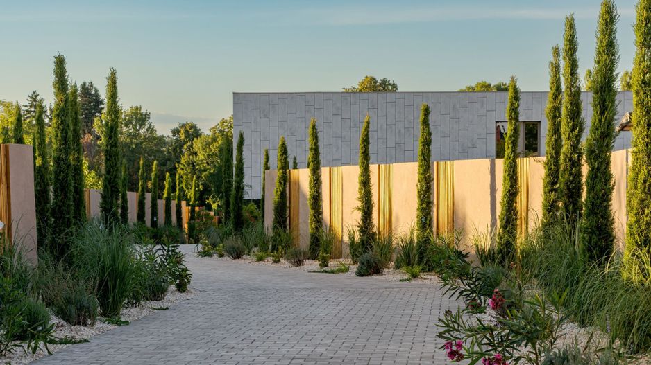 Vila Minimalista Moderna Snagov Lac - Poză 4