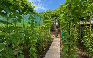 Casa P+1 | 317 mp teren | Ovidiu - Poză 33