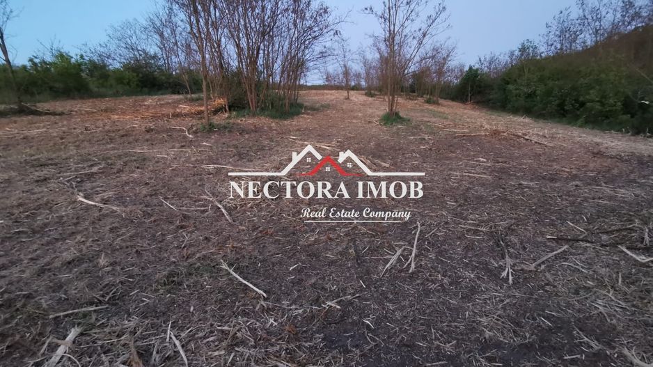 NECTORA IMOB-Loturi de teren 500 mp,Zona Saldabagiu de Munte-Lac Paleu - Poză 4