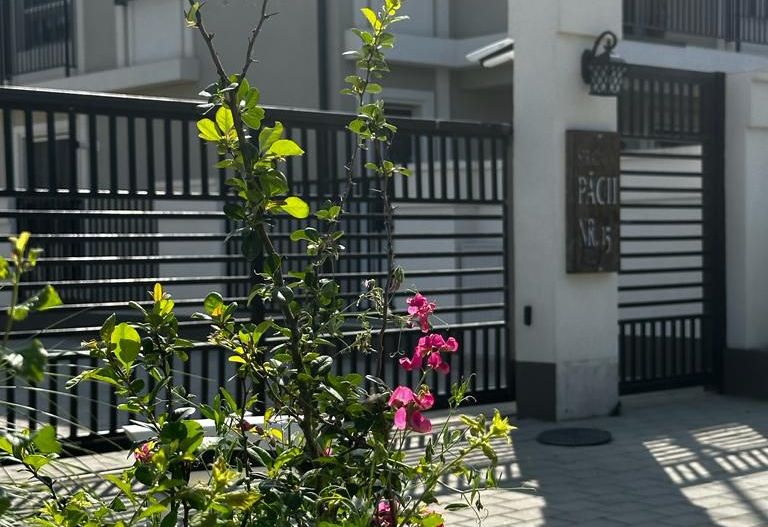 Vila superba in Giroc - Poză 7