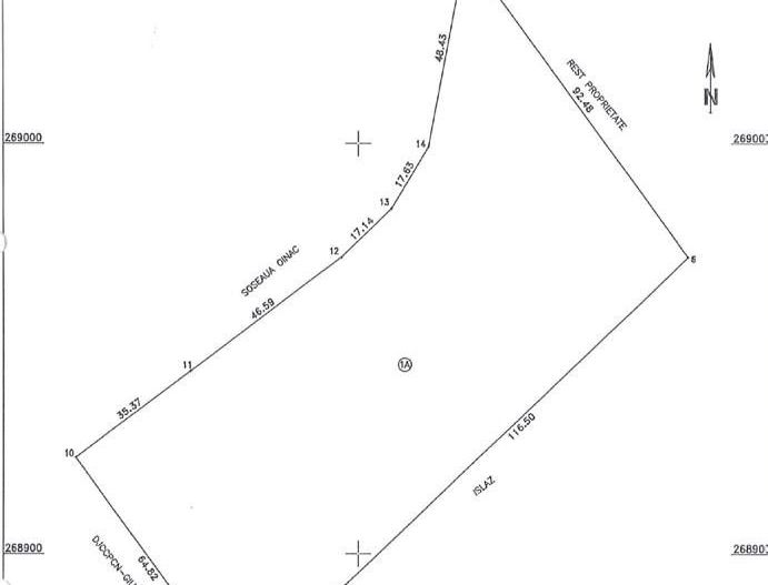 Terenuri intravilane de vânzare în proximitatea Vămii Giurgiu - Poză 1