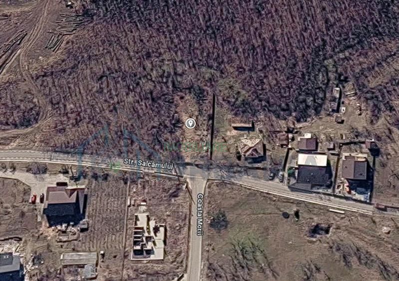 Teren intravilan 608 m2, Chicerea, comuna Tomești, județul Iași – la 20 minute de centrul municipiului Iași - Poză 3