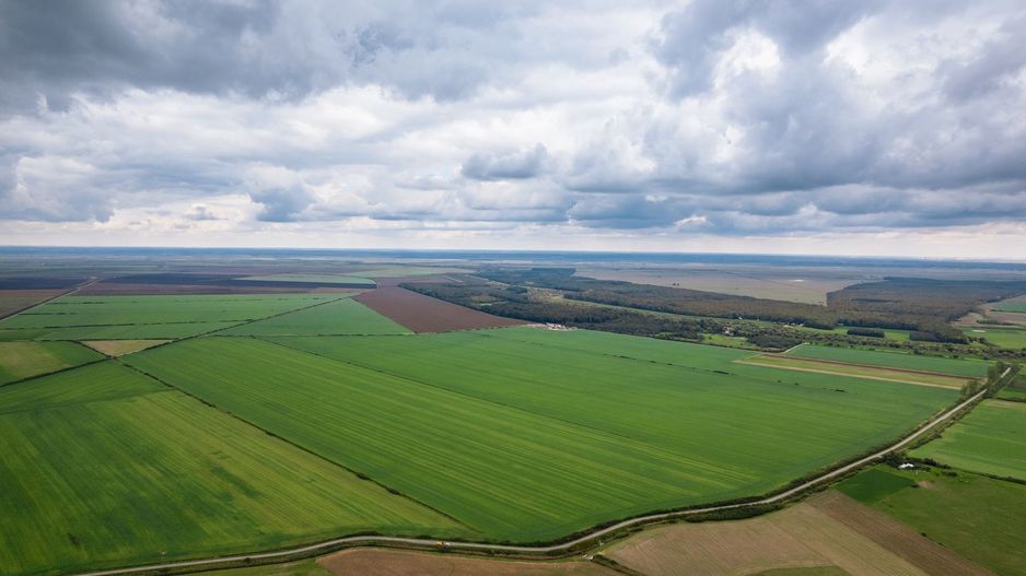 Teren arabil de 477 hectare în Arad - Poză 1