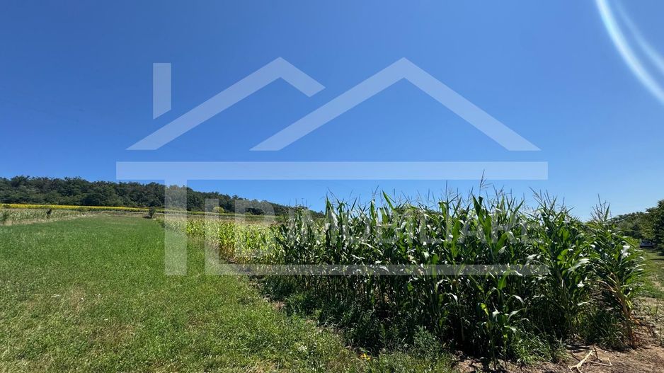 Teren, 1734mp,  intravilan, zona Remetea - Poză 2