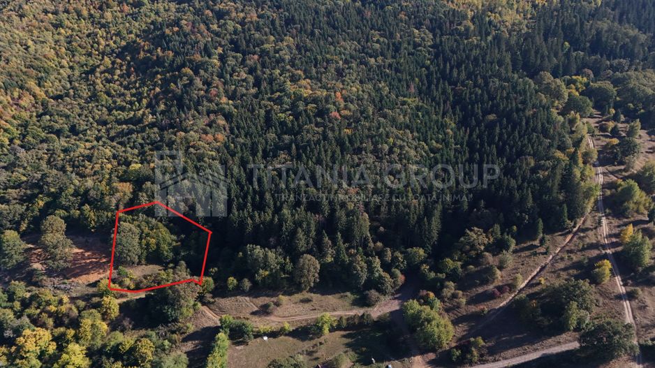 Aproape de Brașov, departe de agitație - Teren cu pădure în Cristian - Poză 4